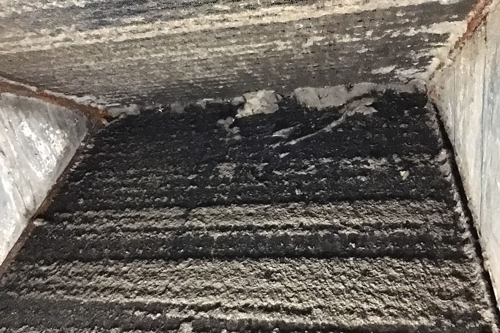 An evaporator coil coated with dust and debris.