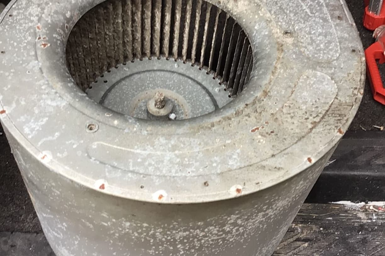 A squirrel-cage blower wheel inside its housing.