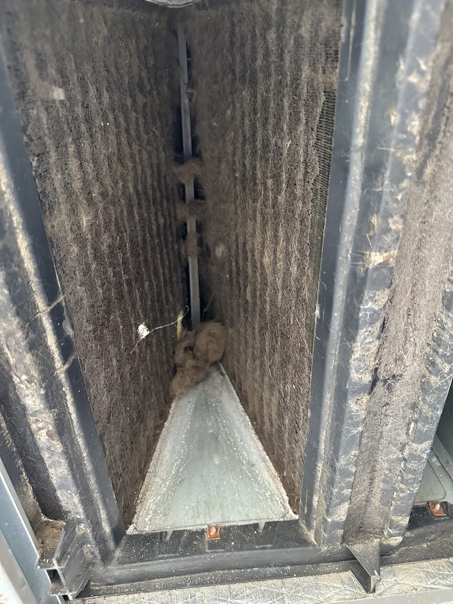 The inside of a duct run with dust built up on its walls in Weeki Wachee, FL.