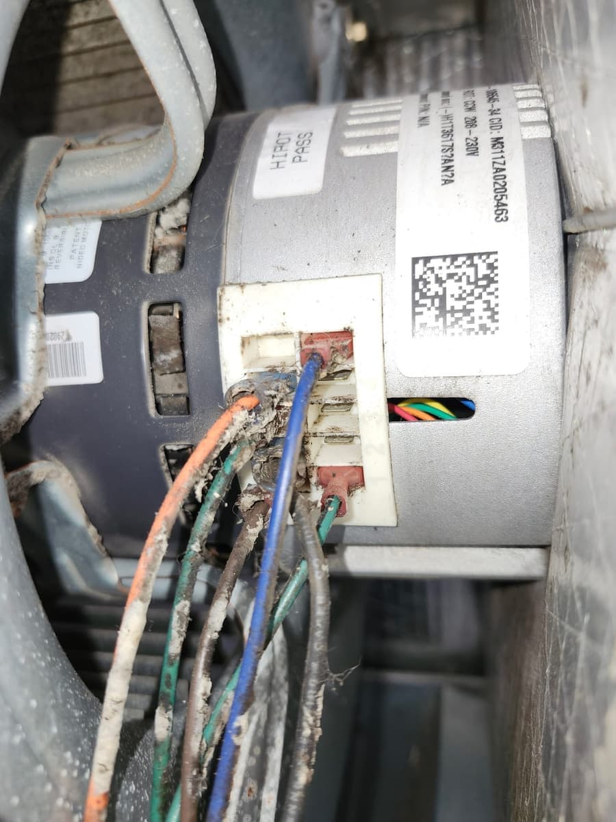 A blower motor wiring harness and its label.