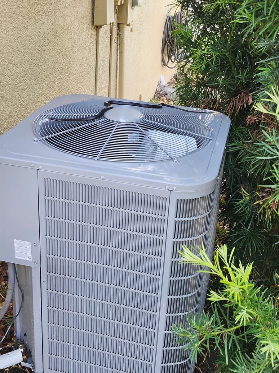 A light gray outdoor condenser surrounded by palm fronds.