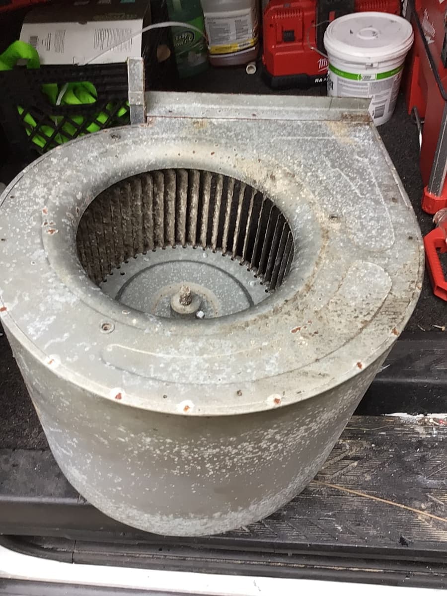 A squirrel-cage blower wheel inside its housing.