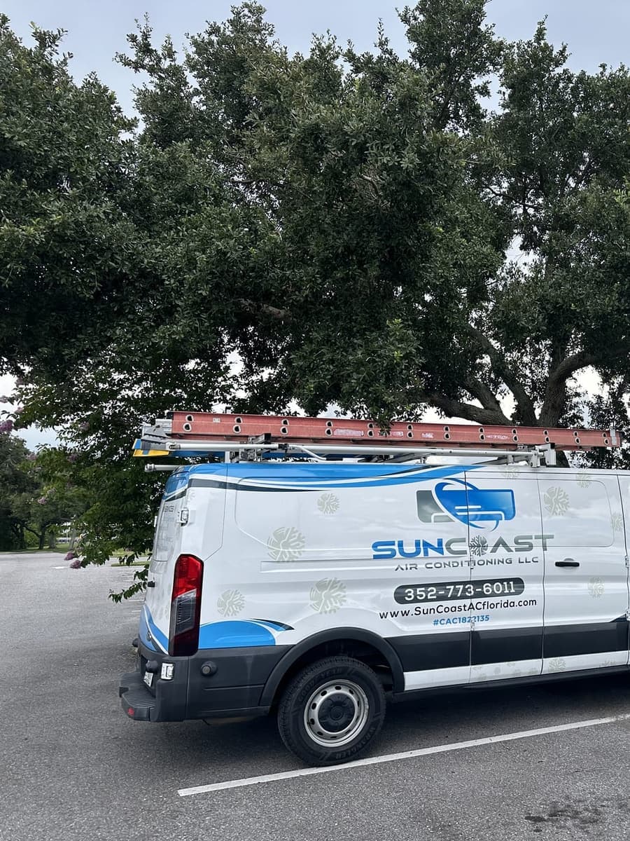 The SunCoast van parked beneath large live oaks in Trinity, FL.