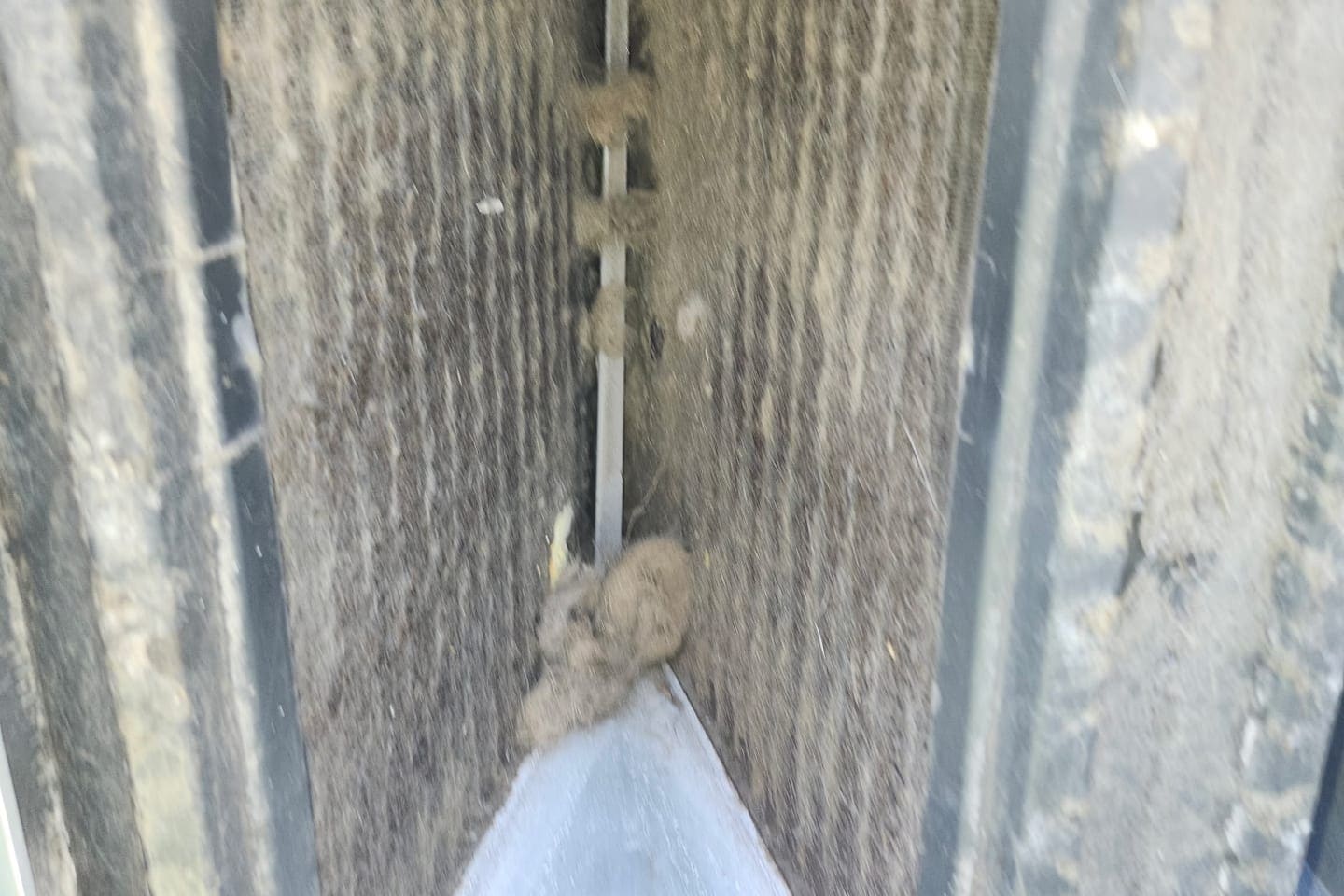 A dirty coil with lint caught in its fins.