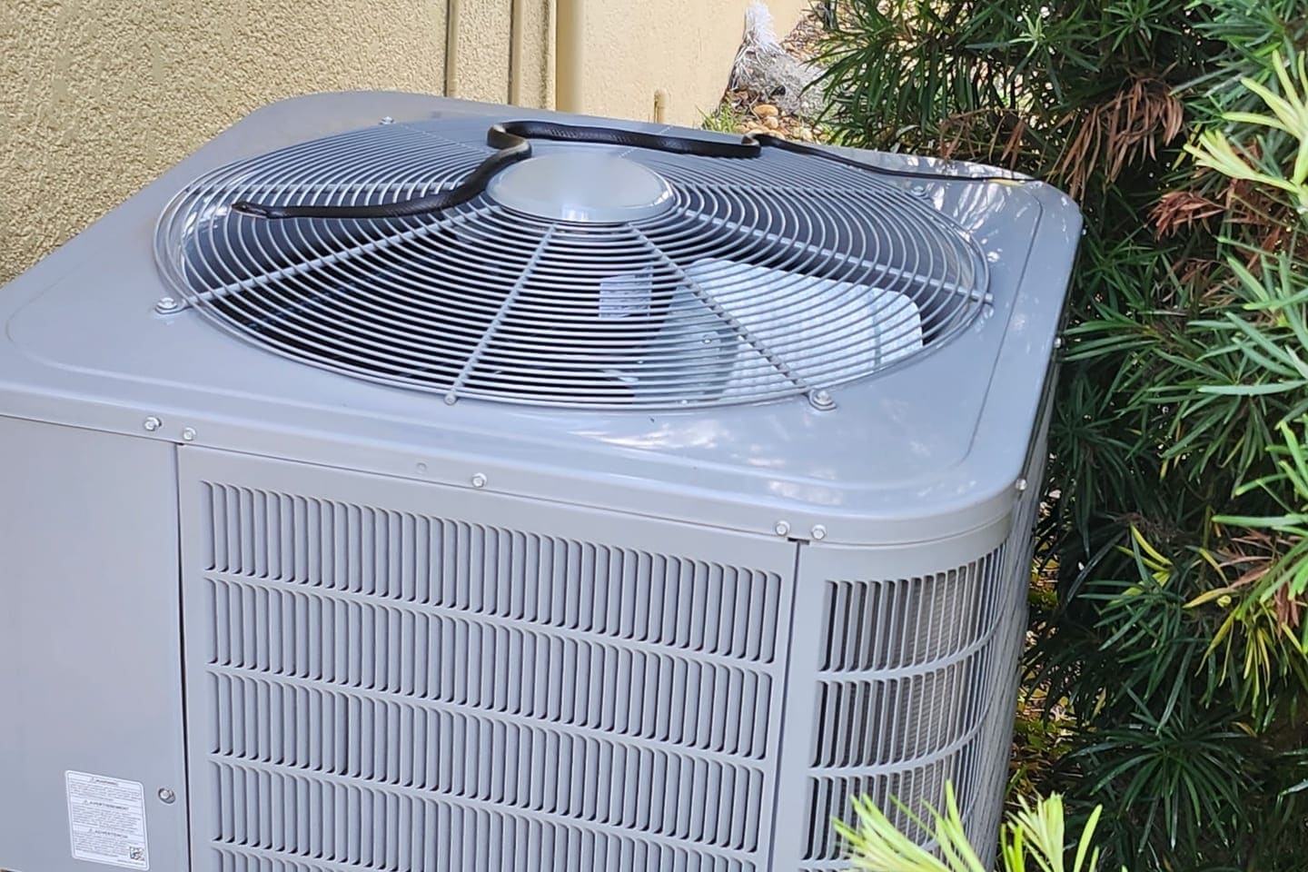 A light gray outdoor condenser surrounded by palm fronds.